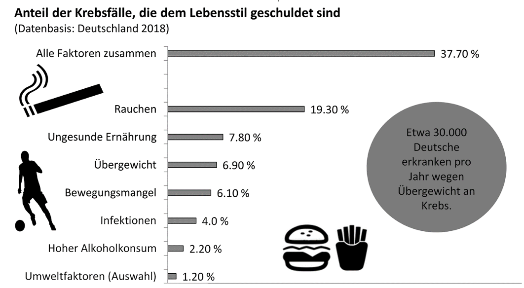 Balkendiagramm: Anteile von Krebsfällen durch Lebensstil (Rauchen 19,3%, Ernährung 7,8%, Übergewicht 6,9%) mit Icons Zigarette, Fastfood, Sport.